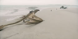 extant_HouseOfTheDragon_2x07_TheRedSowing_0122