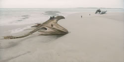 extant_HouseOfTheDragon_2x07_TheRedSowing_0123
