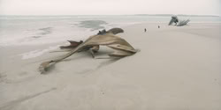 extant_HouseOfTheDragon_2x07_TheRedSowing_0125