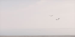 extant_HouseOfTheDragon_2x07_TheRedSowing_0655