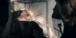extant_HouseOfTheDragon_2x07_TheRedSowing_2281