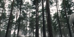 extant_HouseOfTheDragon_2x07_TheRedSowing_2693