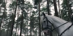 extant_HouseOfTheDragon_2x07_TheRedSowing_2696