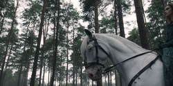 extant_HouseOfTheDragon_2x07_TheRedSowing_2697