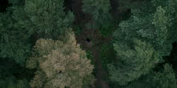 extant_HouseOfTheDragon_2x07_TheRedSowing_3672