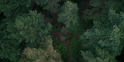 extant_HouseOfTheDragon_2x07_TheRedSowing_3676