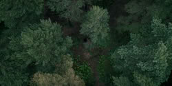 extant_HouseOfTheDragon_2x07_TheRedSowing_3677