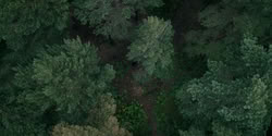 extant_HouseOfTheDragon_2x07_TheRedSowing_3678