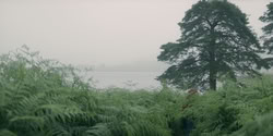 extant_HouseOfTheDragon_2x07_TheRedSowing_3736