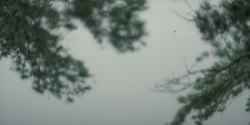extant_HouseOfTheDragon_2x07_TheRedSowing_3835
