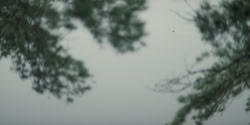 extant_HouseOfTheDragon_2x07_TheRedSowing_3836