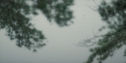 extant_HouseOfTheDragon_2x07_TheRedSowing_3840
