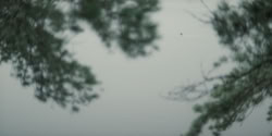 extant_HouseOfTheDragon_2x07_TheRedSowing_3841