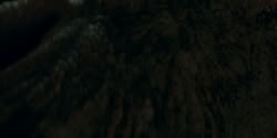 extant_HouseOfTheDragon_2x07_TheRedSowing_4509