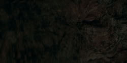 extant_HouseOfTheDragon_2x07_TheRedSowing_4514