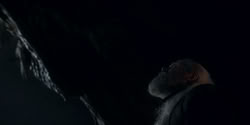 extant_HouseOfTheDragon_2x07_TheRedSowing_4722