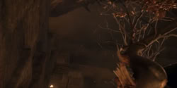 extant_HouseOfTheDragon_2x07_TheRedSowing_4885
