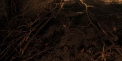 extant_HouseOfTheDragon_2x07_TheRedSowing_4901