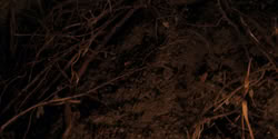 extant_HouseOfTheDragon_2x07_TheRedSowing_4902