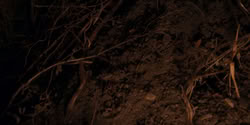 extant_HouseOfTheDragon_2x07_TheRedSowing_4903