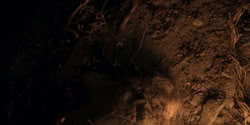 extant_HouseOfTheDragon_2x07_TheRedSowing_4906