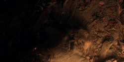 extant_HouseOfTheDragon_2x07_TheRedSowing_4907