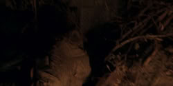 extant_HouseOfTheDragon_2x07_TheRedSowing_4915