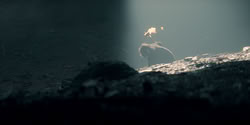 extant_HouseOfTheDragon_2x07_TheRedSowing_5313