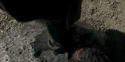 extant_HouseOfTheDragon_2x07_TheRedSowing_5334