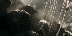 extant_HouseOfTheDragon_2x07_TheRedSowing_5353