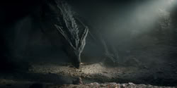 extant_HouseOfTheDragon_2x07_TheRedSowing_5476