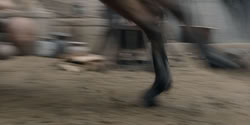 extant_HouseOfTheDragon_2x07_TheRedSowing_5652