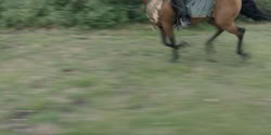 extant_HouseOfTheDragon_2x07_TheRedSowing_5656