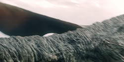 extant_HouseOfTheDragon_2x07_TheRedSowing_5690