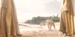 extant_HouseOfTheDragon_2x08_TheQueenWhoEverWas_0020