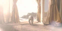 extant_HouseOfTheDragon_2x08_TheQueenWhoEverWas_0023