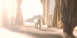extant_HouseOfTheDragon_2x08_TheQueenWhoEverWas_0024