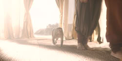 extant_HouseOfTheDragon_2x08_TheQueenWhoEverWas_0025