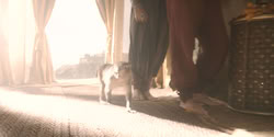 extant_HouseOfTheDragon_2x08_TheQueenWhoEverWas_0026