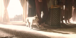 extant_HouseOfTheDragon_2x08_TheQueenWhoEverWas_0027