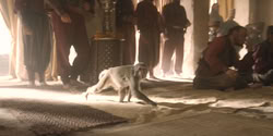 extant_HouseOfTheDragon_2x08_TheQueenWhoEverWas_0029