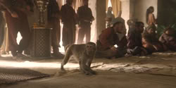 extant_HouseOfTheDragon_2x08_TheQueenWhoEverWas_0030