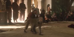 extant_HouseOfTheDragon_2x08_TheQueenWhoEverWas_0031