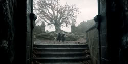 extant_HouseOfTheDragon_2x08_TheQueenWhoEverWas_1553
