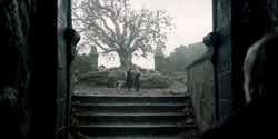 extant_HouseOfTheDragon_2x08_TheQueenWhoEverWas_1554