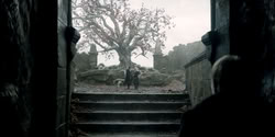 extant_HouseOfTheDragon_2x08_TheQueenWhoEverWas_1556