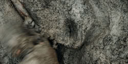 extant_HouseOfTheDragon_2x08_TheQueenWhoEverWas_2274