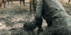 extant_HouseOfTheDragon_2x08_TheQueenWhoEverWas_2292