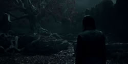 extant_HouseOfTheDragon_2x08_TheQueenWhoEverWas_3393