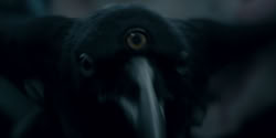 extant_HouseOfTheDragon_2x08_TheQueenWhoEverWas_3554